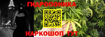 эйфоретик Дубна