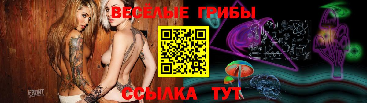 Галлюциногенные грибы Cubensis Новошахтинск